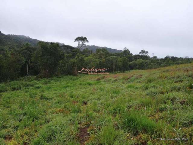 TERRENO/área PARA CHÁCARA - biritiba ussu - 10.000m2 - MOGI DAS CRUZES