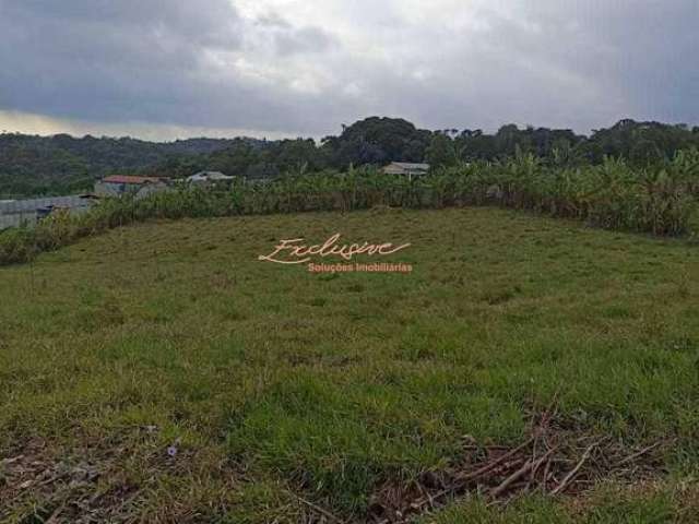 Chácara/terreno 5000 m2 em Biritiba Ussu - Boa Vista - Mogi das Cruzes