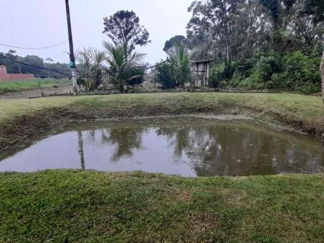 Sítio / Chácara para Venda em São Francisco do Sul, Miranda