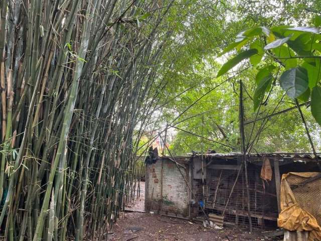 Terreno a venda, com viabilidade de área comercial e residencial.