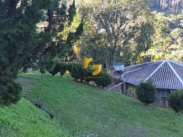 Terreno à venda no bairro São Gotardo (Distrito) - Flores da Cunha/RS