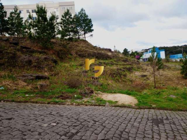 Terreno à venda no bairro Nossa Senhora das Graças - Caxias do Sul/RS