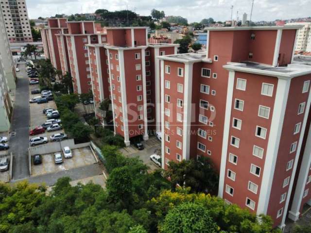 Apto 03 dorms com suite jardim sabara