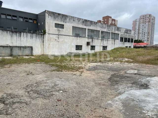 terreno para alugar na Vila Santa Catarina São Paulo SP