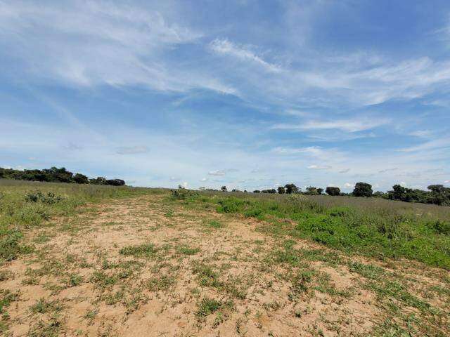 Chácara à venda, 1 quarto, zona rural de Uberlândia - UBERLANDIA/MG