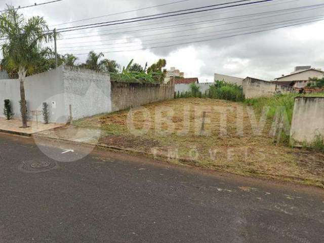 Excelente lote comercial no Bairro Alto Umuarama em Uberlândia