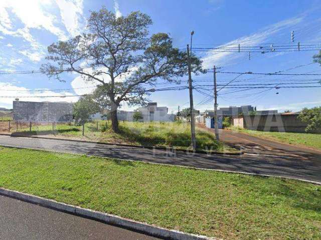 Terreno Misto no Bairro Bosque dos Buritis Em Uberlândia - Infraestrutura Completa e Possibilidades Residenciais e Comerciais