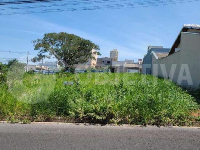 Terreno Residencial no Bairro Bosque dos Buritis - Infraestrutura Completa e Pronto para Construir