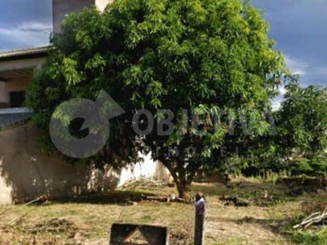 Terreno à Venda no Bairro Vigilato Pereira em Uberlândia: Aproveite Esta Oportunidade