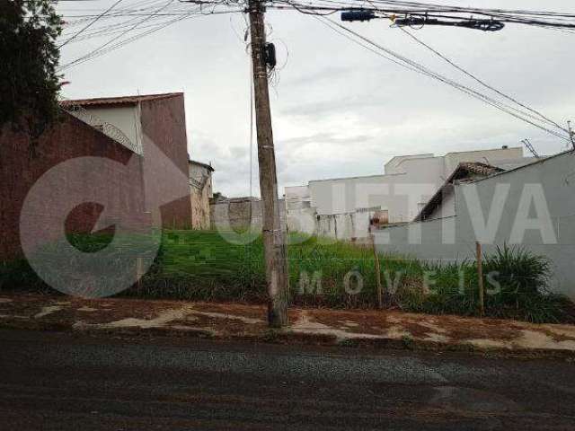 Lote de gaveta disponível para venda no bairro Vigilato Pereira em Uberlândia