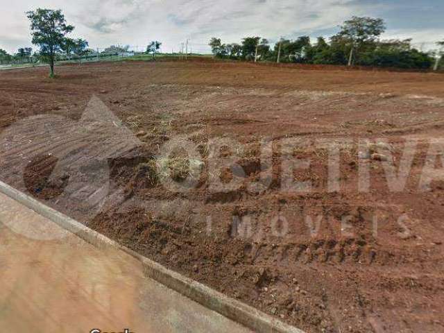 Área à venda, Loteamento Vale dos Vinhedos - UBERLANDIA/MG