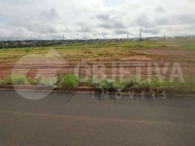 Terreno à venda, Verde Alto Umuarama - UBERLANDIA/MG