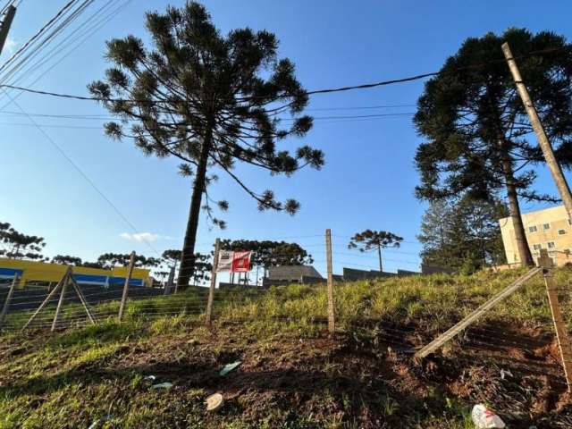 Excelente terreno  bem localizado ZUD 4 - Osasco - Colombo - PR.