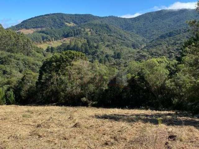 Terreno à venda no Bom Jardim, Camanducaia , 55000 m2 por R$ 380.000