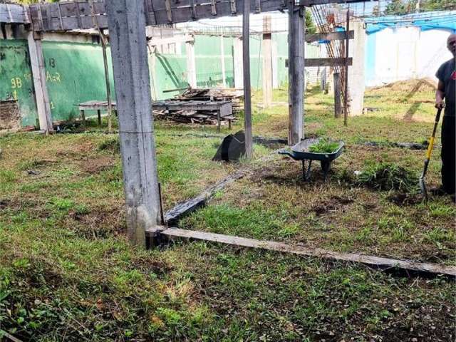 Terreno à venda em Bela Aliança - SP