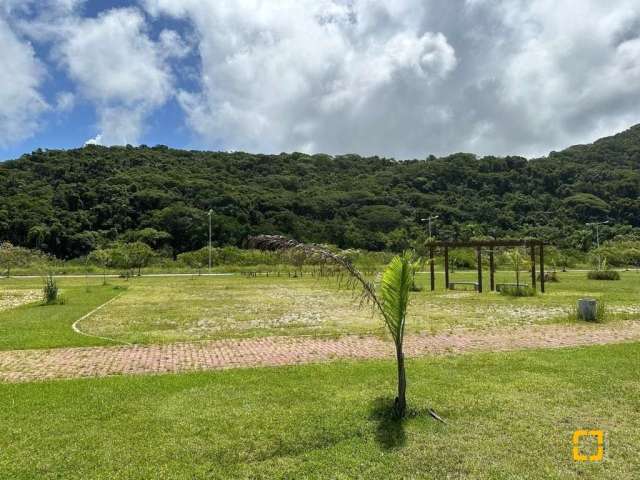 Terrenos Residenciais em Rio Tavares