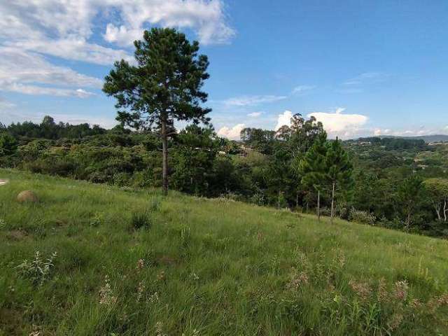 Pra você que procura área rural mas com a comodidade da “cidade', acabou de encontrar. Sítio só terra