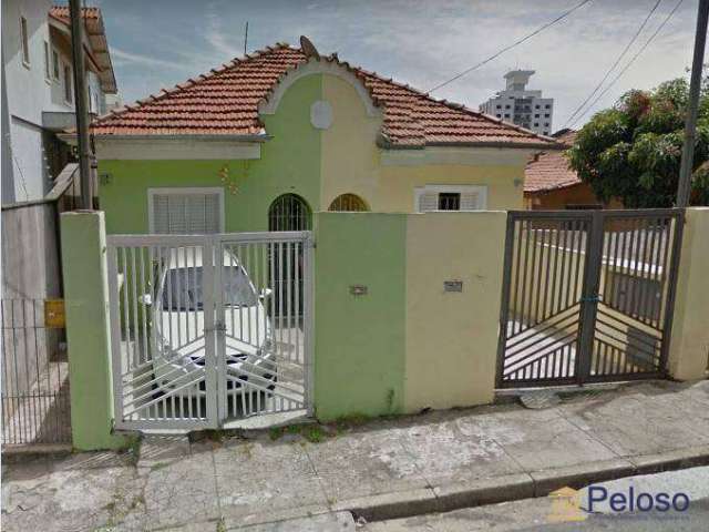 Terreno residencial à venda, Vila Guilherme, São Paulo.