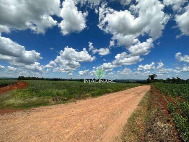 Chácara à venda, 30000 m² por R$ 750.000,00 - Rio Do Salto - Cascavel/PR