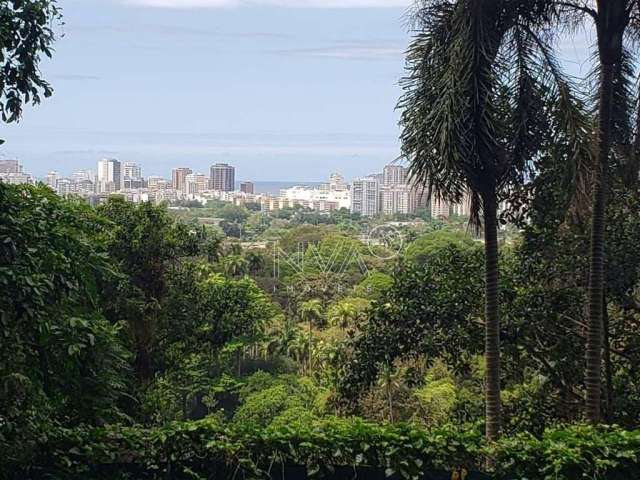 JARDIM BOTÂNICO | Terreno