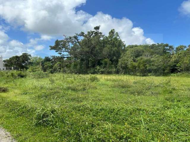 Terreno à venda em Ribeirão da Ilha, Florianópolis