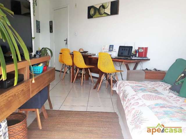 Oportunidade Imperdível: Apartamento Aconchegante