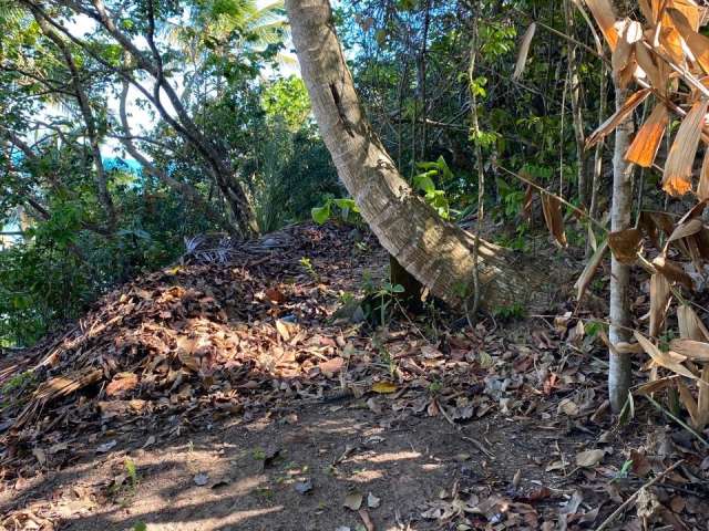 Excelente terreno caraíva pé na areia