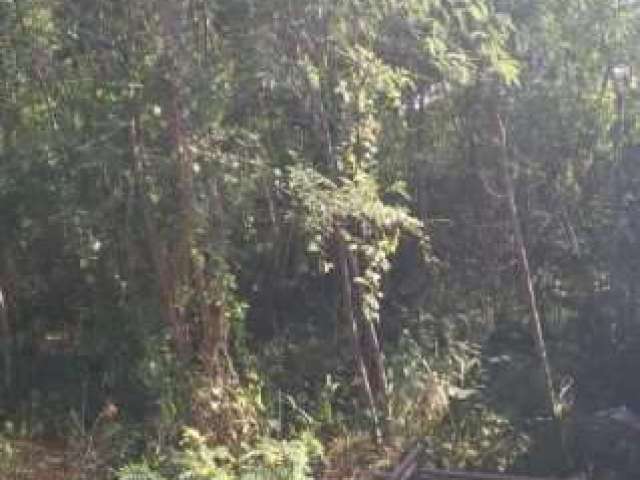 Terreno Comercial para Venda em Rio de Janeiro, Campo Grande