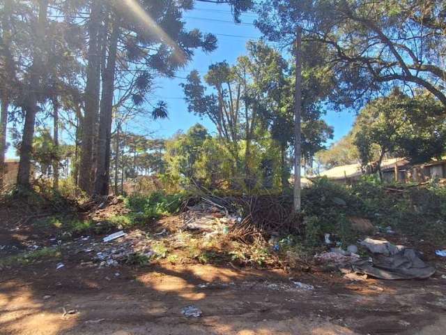 Terreno à venda Guarituba Piraquara/PR