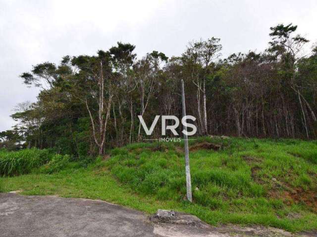 Terreno à venda, 6000 m² por R$ 1.800.000,00 - Iucas - Teresópolis/RJ