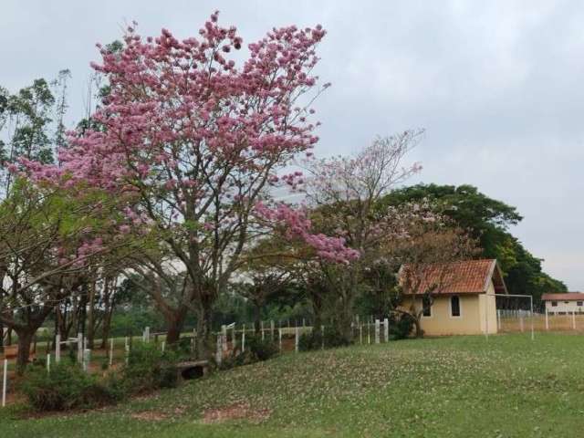 Fazenda com 1 sala à venda na Rodovia João Melão, 6, Parque São Jorge, Avaré por R$ 13.000.000