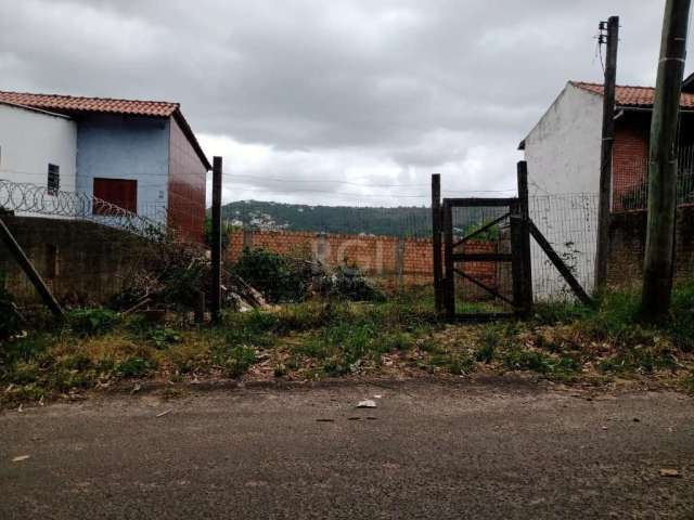 Terrreno em Teresópolis, excelente para construção residencial, próximo a escolas, supermercados e comércio.