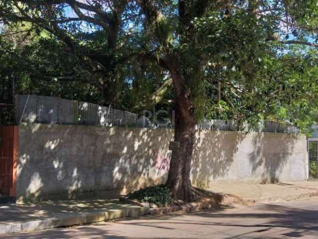 Terreno amplo no Bairro Tristeza. Excelente Terreno com 1014m². Testada de 16,50m. Terreno plano e arborizado. Com localização privilegiada na Mário Totta. Localizado a 500m da Av. Otto; 1,2km  da Wen