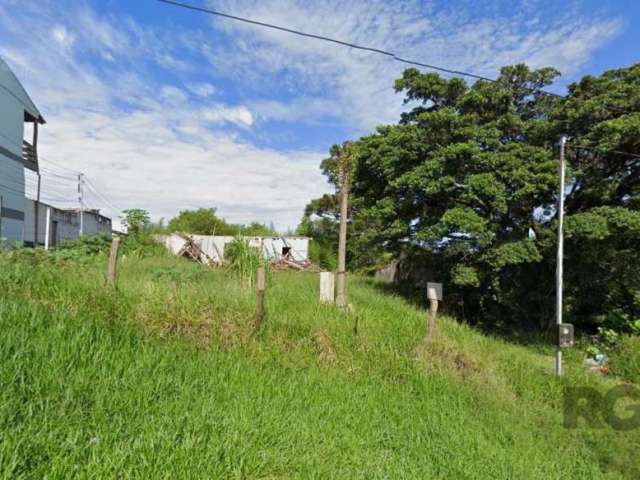 Terreno no Bairro Nonoai com 2.468,40m², na Rua Taveira Junior, com vista panorâmica da cidade. Próximo ao Hospital Santa Ana, fácil acesso ao Shopping Bourbon Teresópolis, Academias de Ginástica, Ban