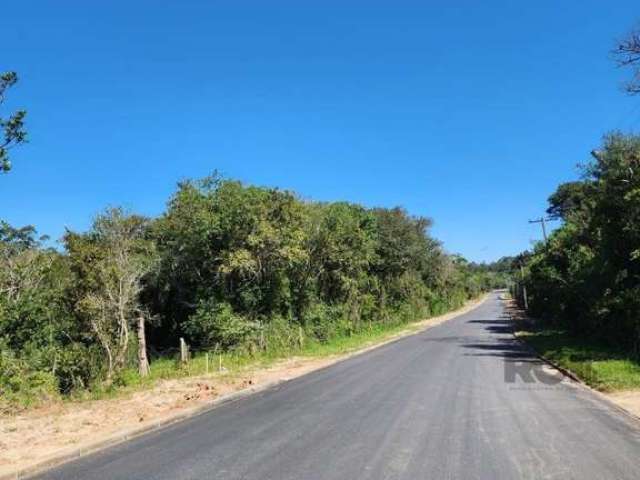 Área de terra de 32 Hectare com projeto aprovado de casas, localização RS 118 antiga estrada São Caetano, asfalto em frente e 3 km do mercado Bom Lami , posto de gasolina , escolas e todos recursos da