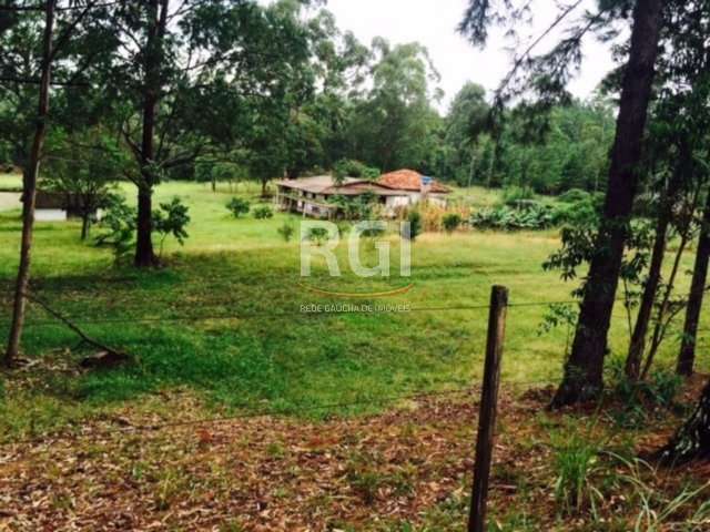 SÍTIO com 80,6 hectares, apenas à 30Km da rótula da Carlos Gomes, na antiga estrada do Espigão.&lt;BR&gt;Possui mata nativa, figueiras e nascentes.&lt;BR&gt;Casa principal com 3 dortmitórios, living c