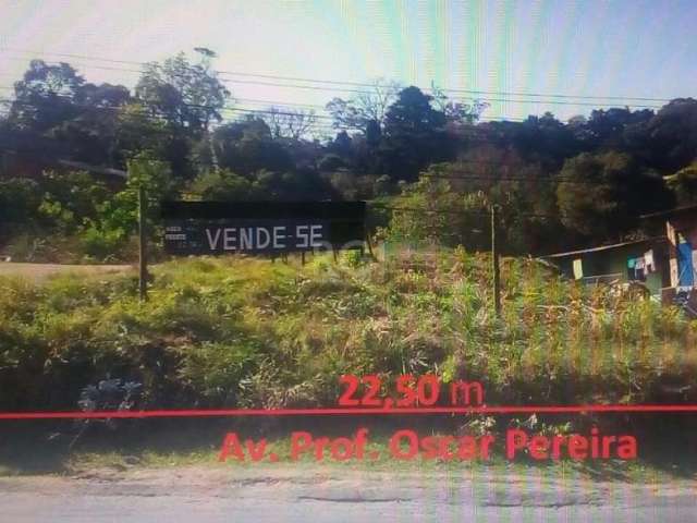 Lindo Terreno de frente á Avenida Prof. Oscar Pereira. Situado no ponto alto do morro, no bairro Cascata de Porto Alegre, detêm visão panorâmica para ³Reserva Ecológica´, conhecido ponto turístico San