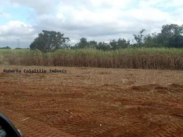 Vende-se Fazenda Região de São João da Boa Vista SP