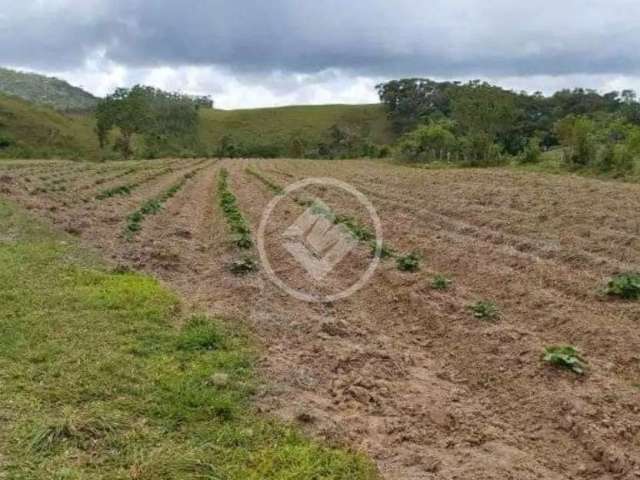 Terreno em Sorocaba de Dentro- Biguaçu codigo: 98048