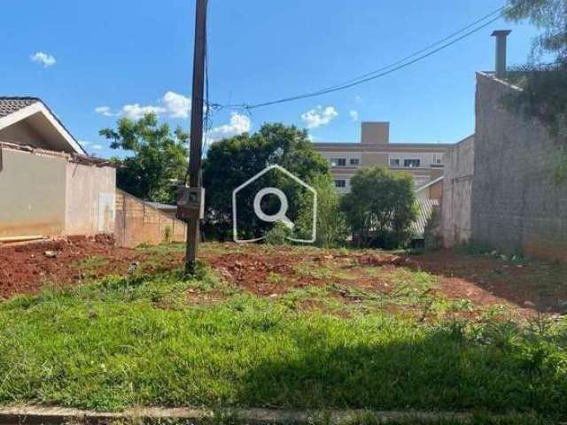 Terreno 420m² no Trianon/Sta Cruz em Guarapuava