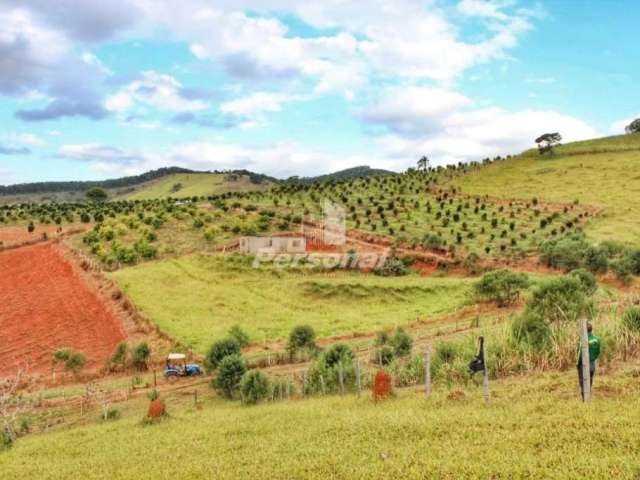 Sítio para venda, Ribeirão Das Almas, Taubaté - SI4438