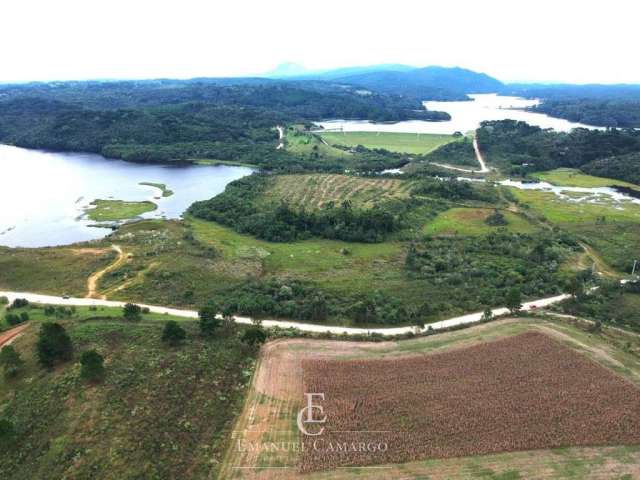 Chácara, 50000m², à venda em Piraquara, Vila São Tiago