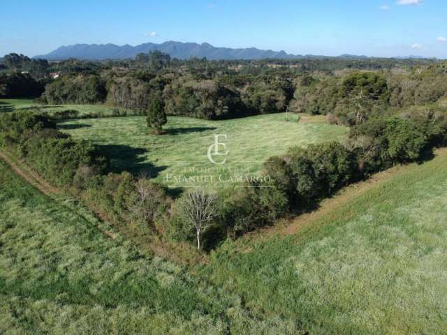 Área  a venda em Piraquara-PR