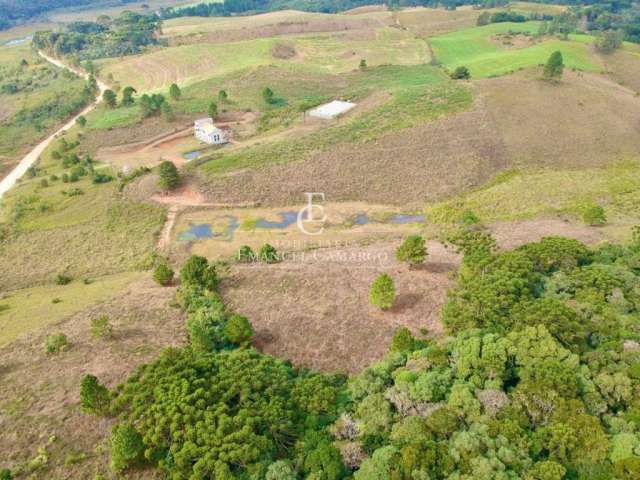 Área a venda em Piraquara-Pr