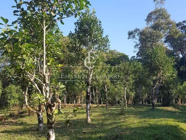 Chácara a venda em Piraquara-PR