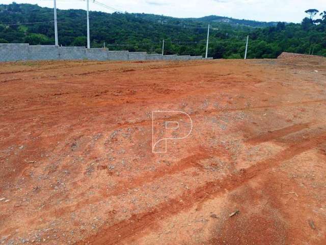 Lançamento de Lote Comercial de 380m2 na Estrada de Caucaia