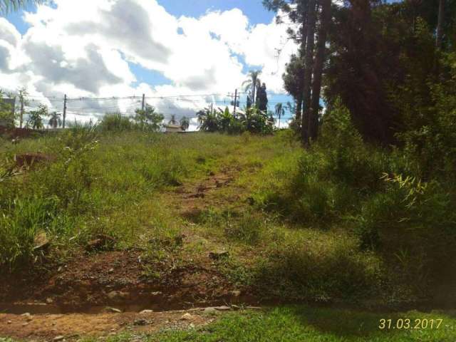 Terreno à venda, 1015 m² por R$ 380.000,00 - Chácara Represinha - Cotia/SP