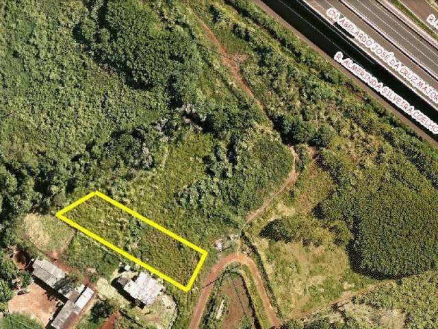 Chácara à venda em Maringá, Conjunto Residencial Branca Vieira, com 0 suíte, com 3051 m² de extensão