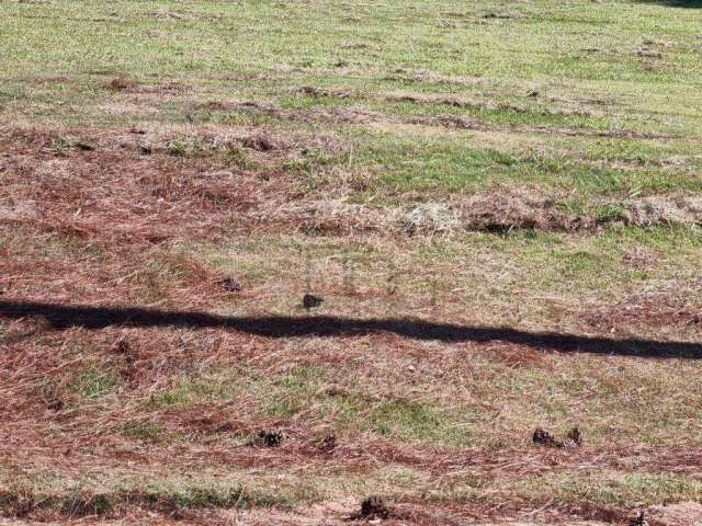 Terreno à venda, 1000 m² por R$ 350.000,00 - Condomínio Vivendas do Lago - Sorocaba/SP