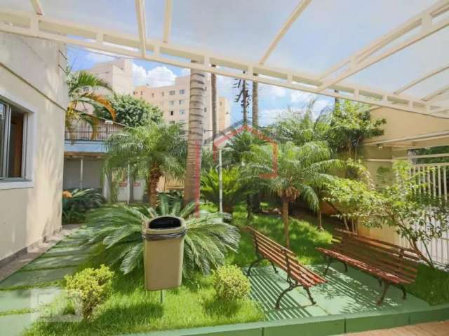 Apartamento 69 m2  2  dormitorios 1 suite e 1vaga -Butanta